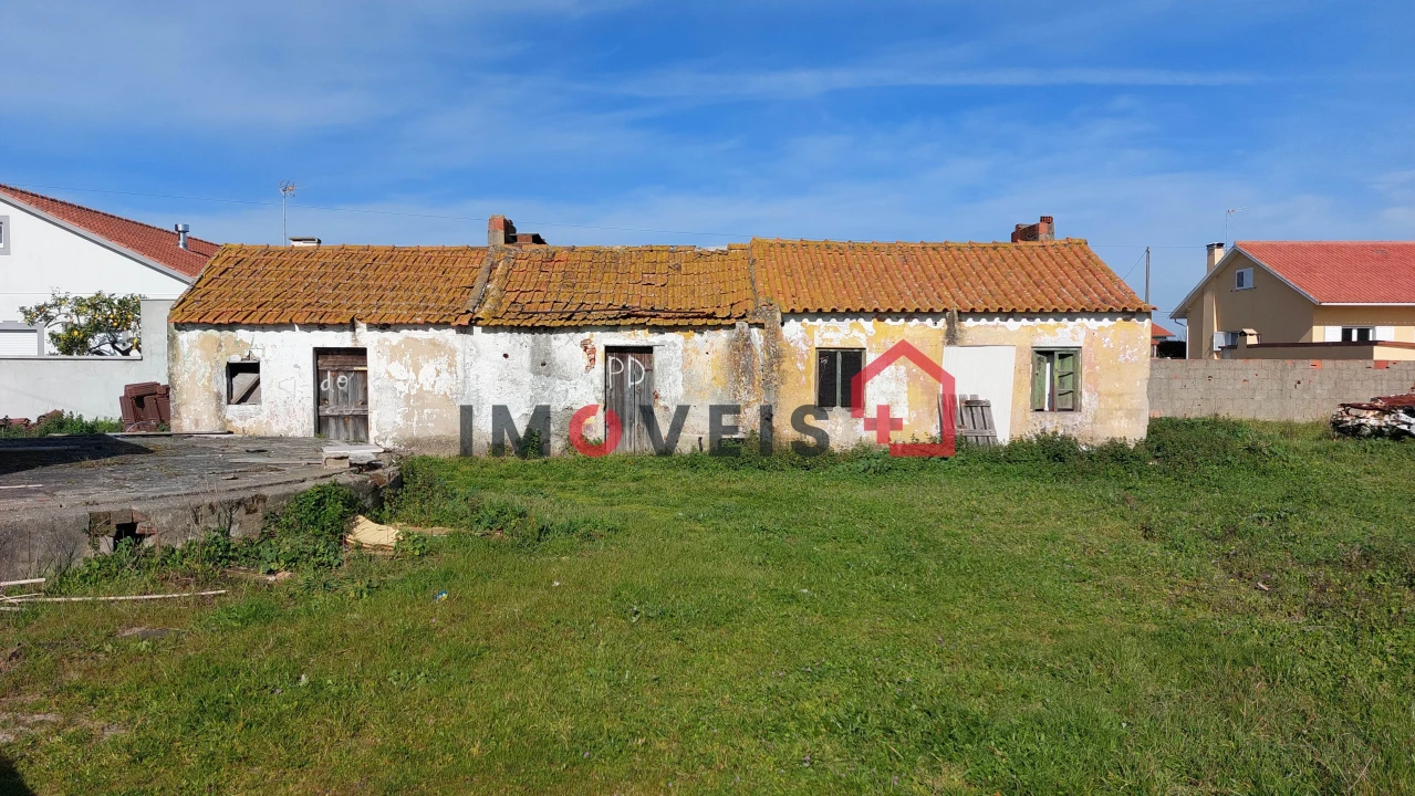 Terreno para Venda em Vieira de Leiria Foto 1