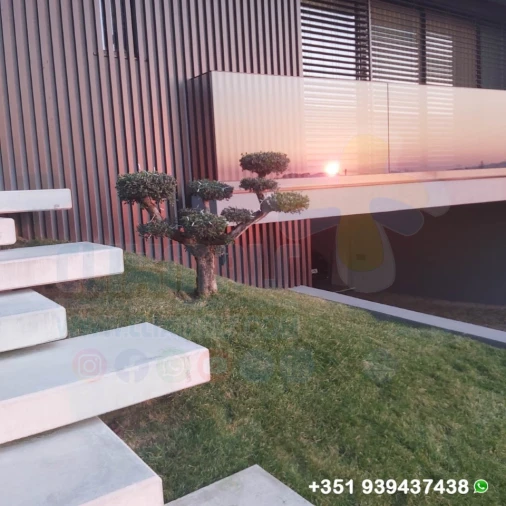 Moradia T4 para Venda em Nogueiró e Tenões Foto 4