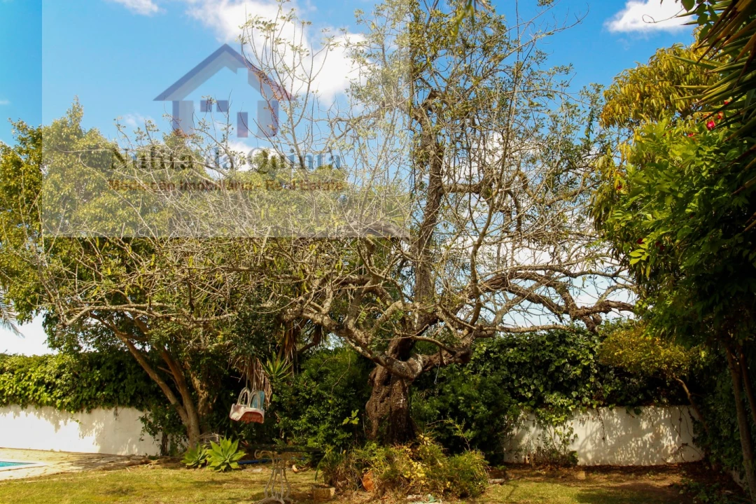 Moradia T3 para Venda em Ferreiras Foto 56