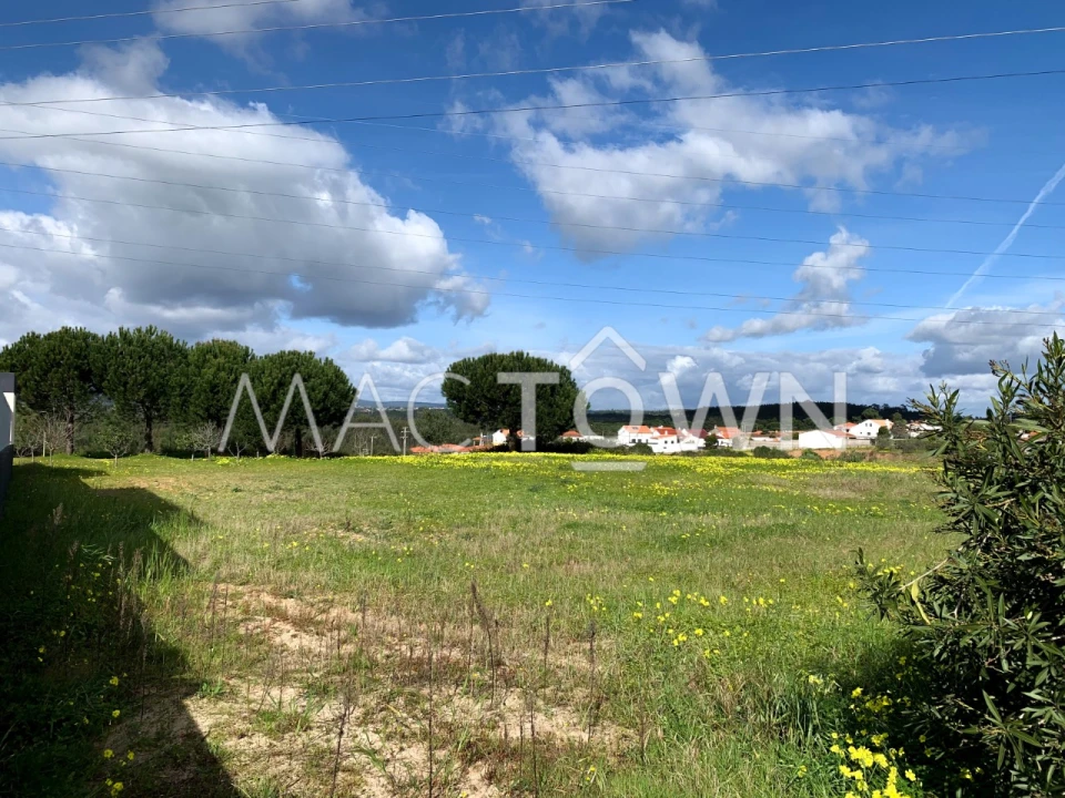 Terreno para Venda em Meia Via Foto 4