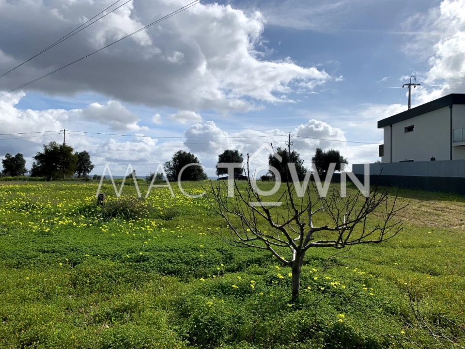 Terreno para Venda em Meia Via Foto 6