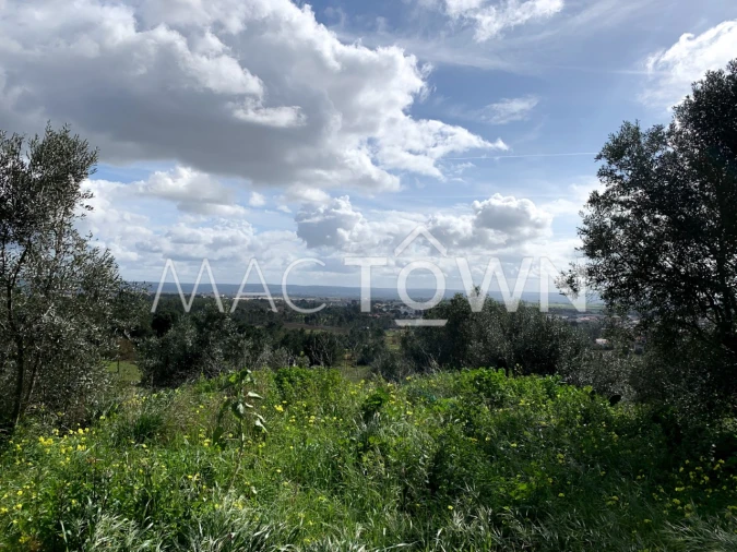 Terreno para Venda em Meia Via Foto 7