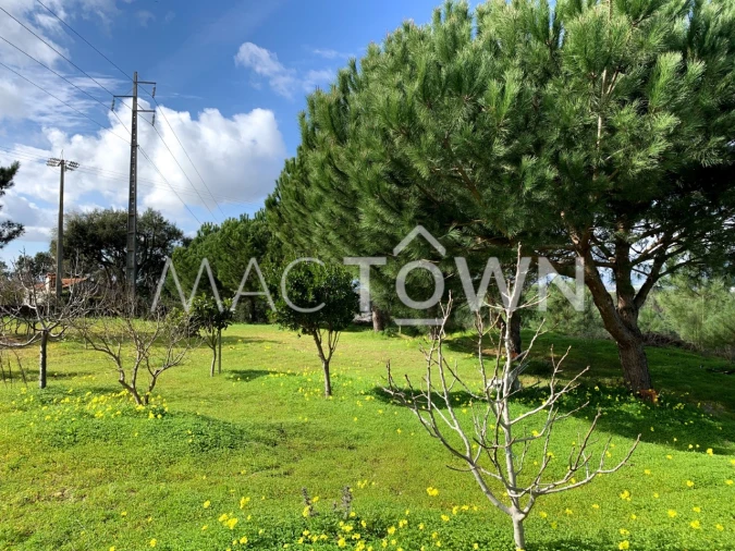 Terreno para Venda em Meia Via Foto 8