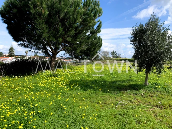 Terreno para Venda em Meia Via Foto 9