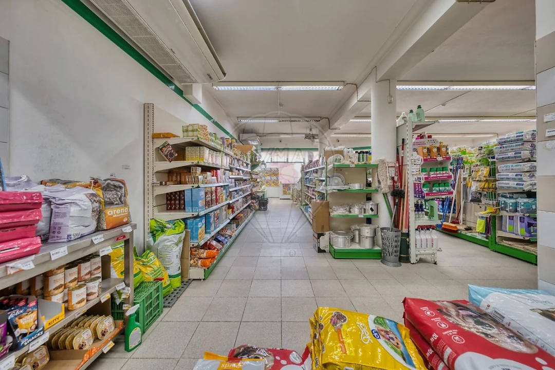 Moradia T4 para Venda em Azambuja Foto 23