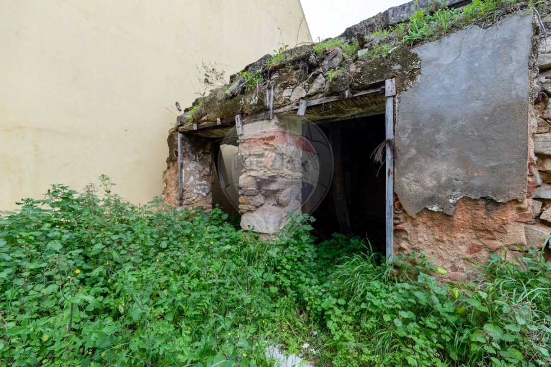 Prédio para Venda em Santa Maria, São Pedro e Matacães Foto 4
