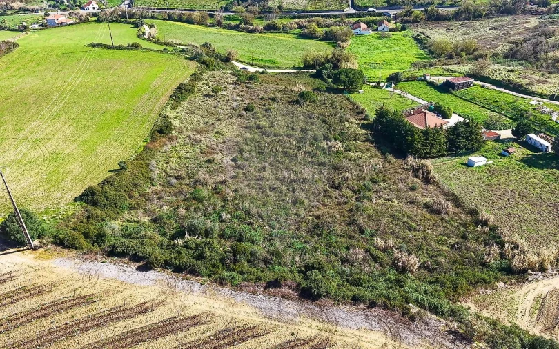 Terreno para Venda em Arruda dos Vinhos Foto 8