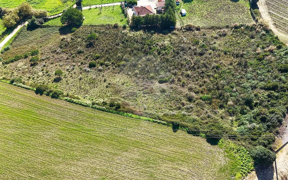 Terreno para Venda em Arruda dos Vinhos Foto 11