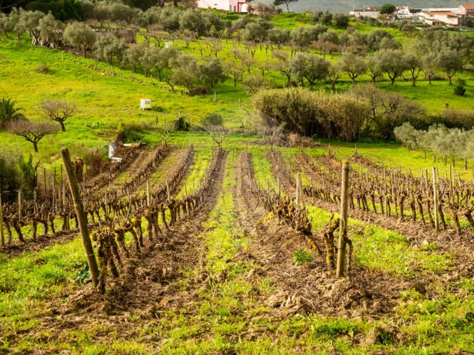 Moradia T6 para Venda em Alhandra, São João dos Montes e Calhandriz Foto 19