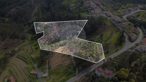Terreno para Venda em Torres do Mondego