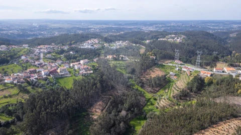 Terreno para Venda em Torres do Mondego