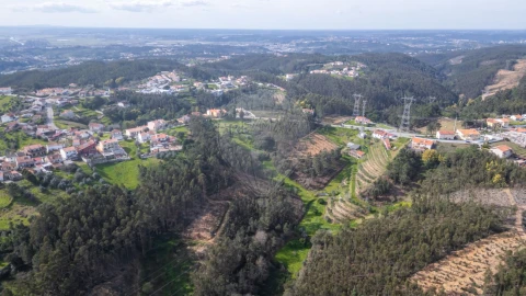 Terreno para Venda em Torres do Mondego