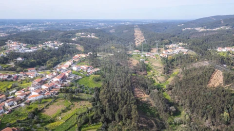 Terreno para Venda em Torres do Mondego