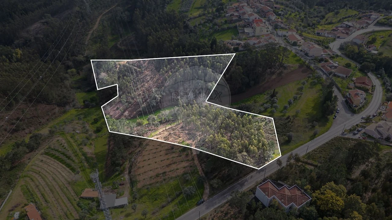 Terreno para Venda em Torres do Mondego Foto 4