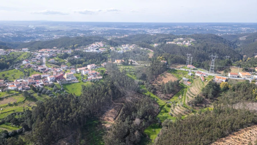 Terreno para Venda em Torres do Mondego Foto 11