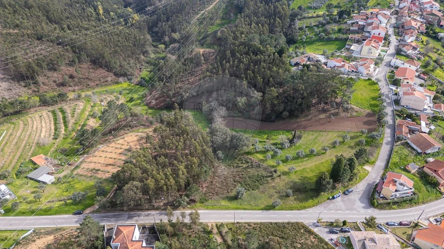 Terreno para Venda em Torres do Mondego Foto 2