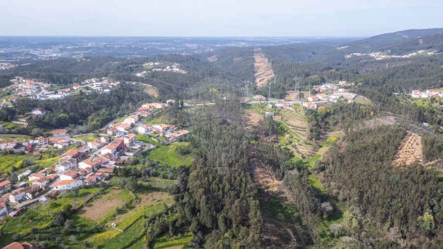 Terreno para Venda em Torres do Mondego Foto 9