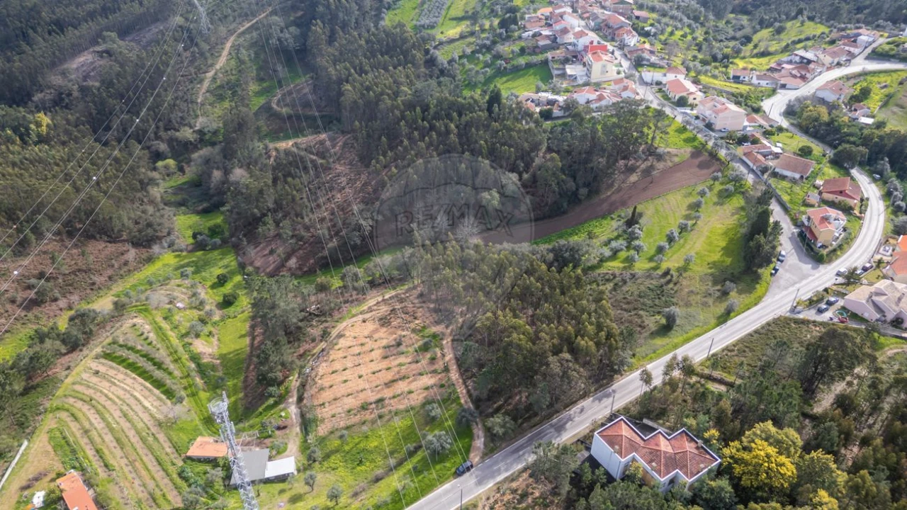 Terreno para Venda em Torres do Mondego Foto 3