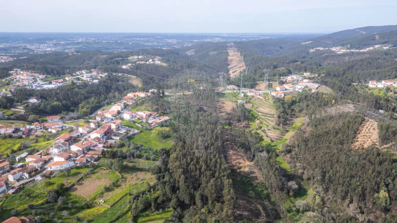 Terreno para Venda em Torres do Mondego Foto 9