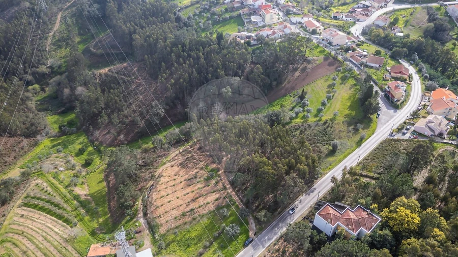 Terreno para Venda em Torres do Mondego