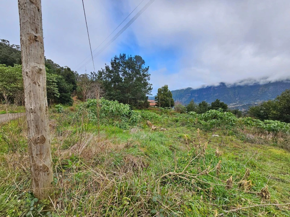 Terreno Agricola ou Rústico para Venda em São Vicente Foto 2