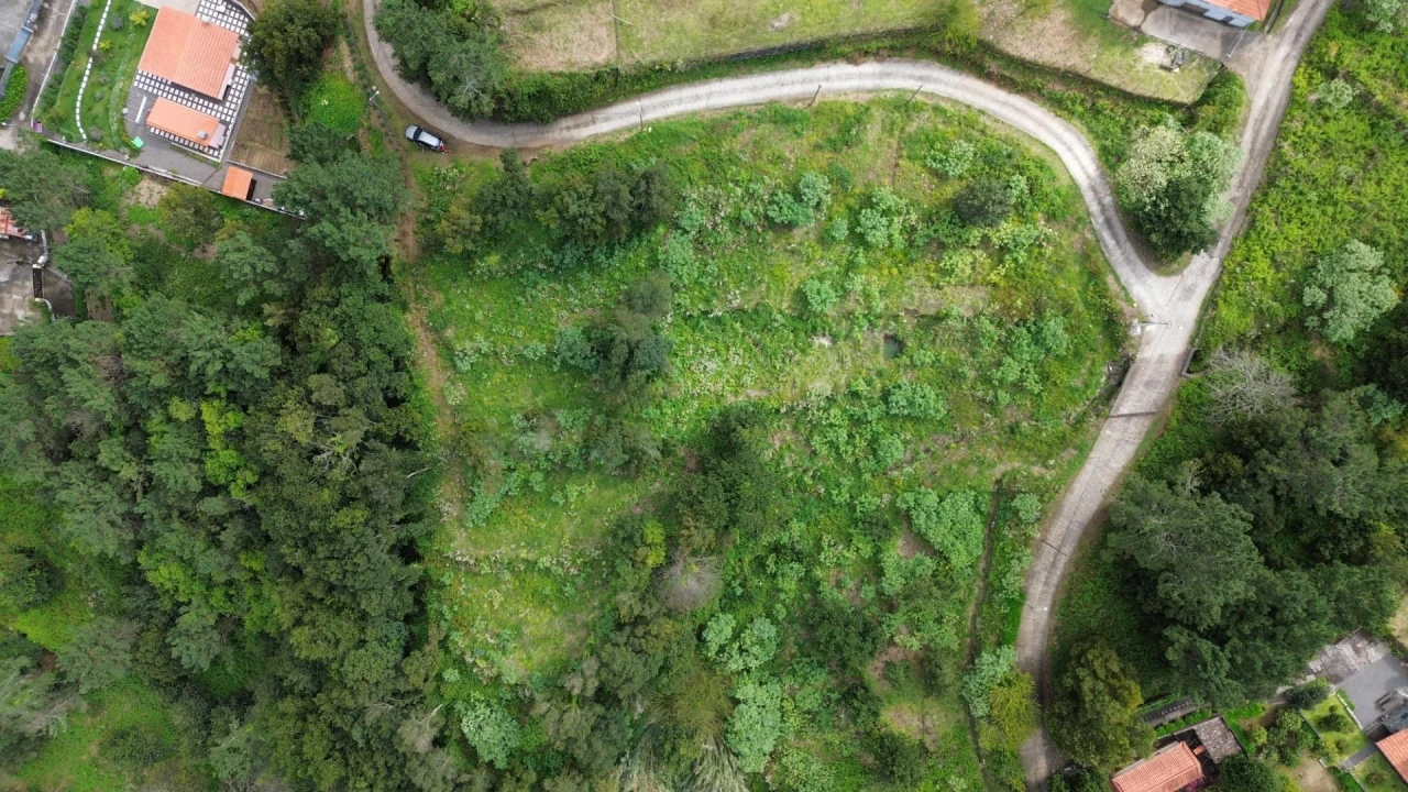 Terreno Agricola ou Rústico para Venda em São Vicente Foto 5