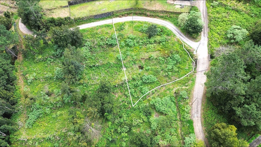 Terreno Agricola ou Rústico para Venda em São Vicente Foto 13