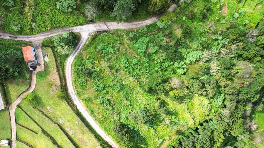 Terreno Agricola ou Rústico para Venda em São Vicente Foto 6