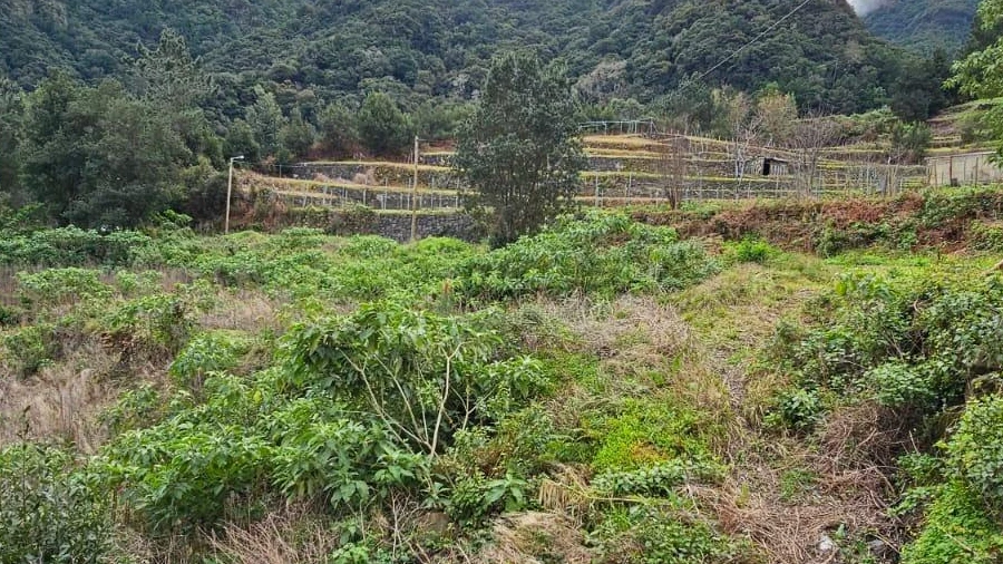 Terreno Agricola ou Rústico para Venda em São Vicente