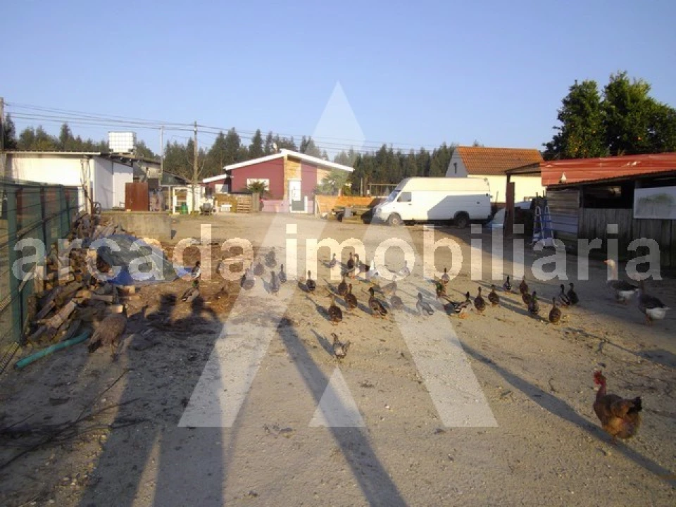 Terreno para Venda em Sangalhos Foto 1