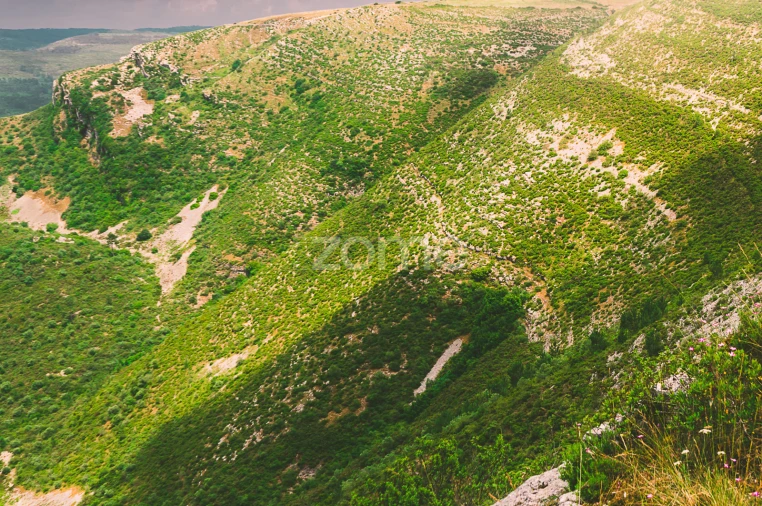 Terreno para Venda em Mira de Aire Foto 19