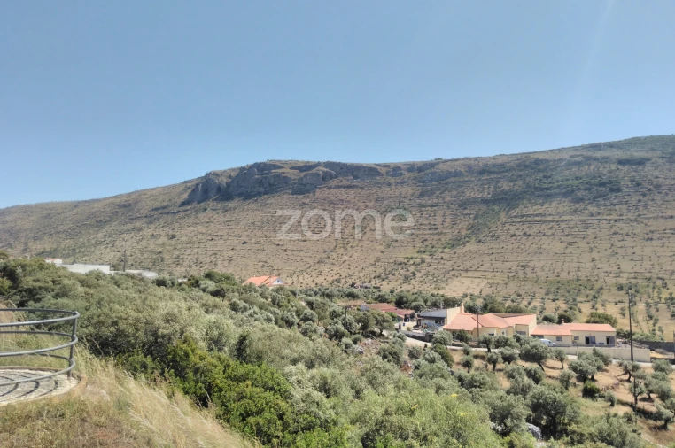 Terreno para Venda em Mira de Aire Foto 16