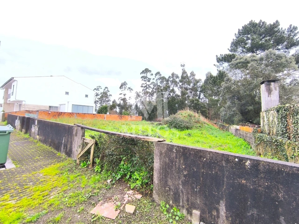Terreno para Venda em Forjães Foto 4
