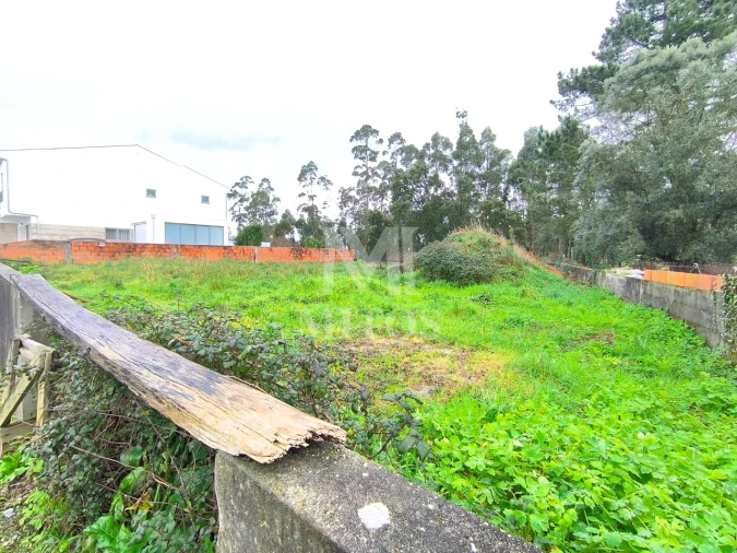 Terreno para Venda em Forjães Foto 3