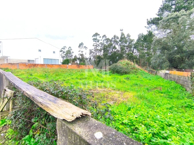 Terreno para Venda em Forjães Foto 5
