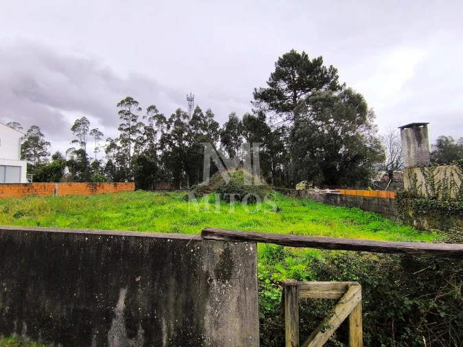 Terreno para Venda em Forjães Foto 8