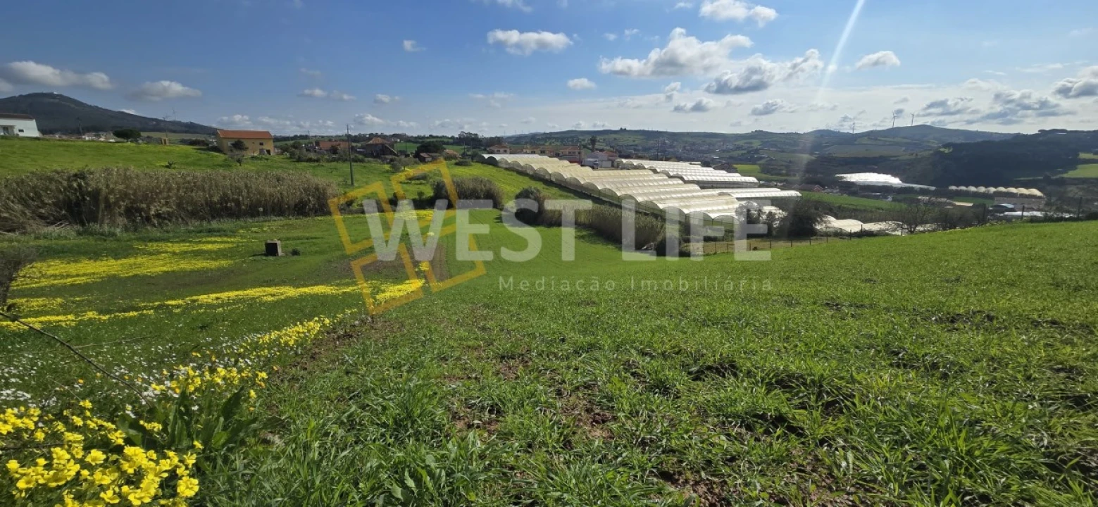 Terreno Agricola ou Rústico para Venda em Azueira e Sobral da Abelheira Foto 3