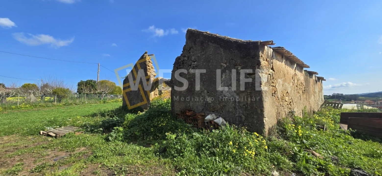 Terreno Agricola ou Rústico para Venda em Azueira e Sobral da Abelheira Foto 2