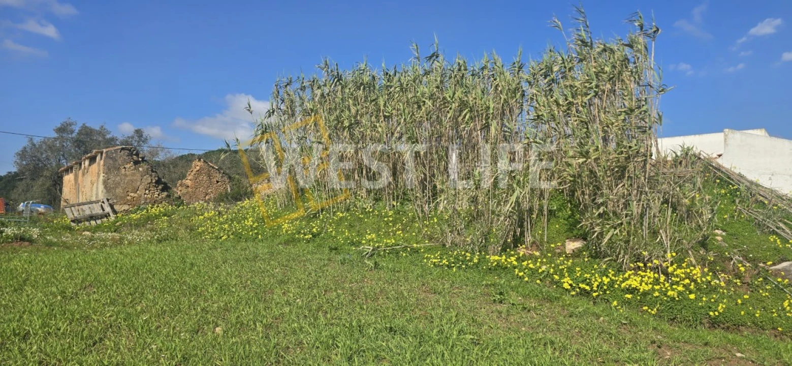 Terreno Agricola ou Rústico para Venda em Azueira e Sobral da Abelheira Foto 6