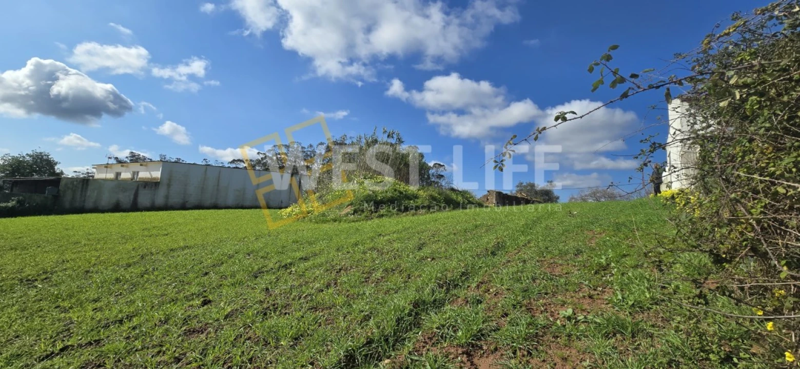 Terreno Agricola ou Rústico para Venda em Azueira e Sobral da Abelheira Foto 10