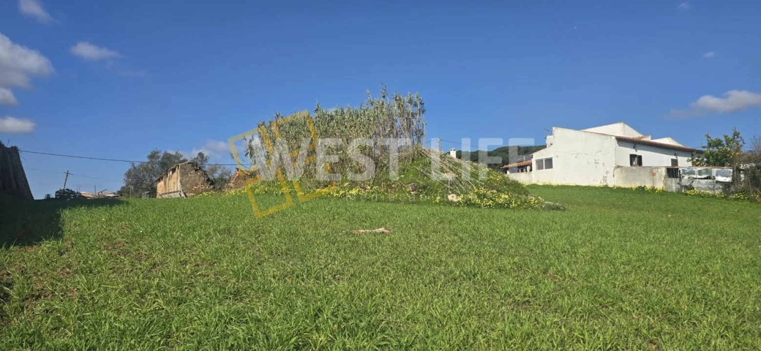 Terreno Agricola ou Rústico para Venda em Azueira e Sobral da Abelheira Foto 11