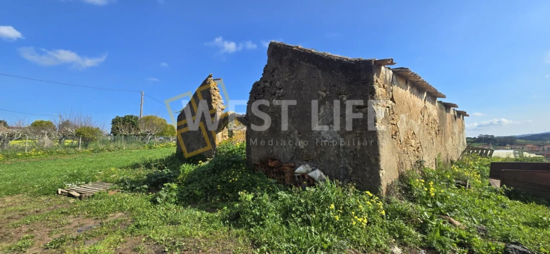 Terreno Agricola ou Rústico para Venda em Azueira e Sobral da Abelheira Foto 2