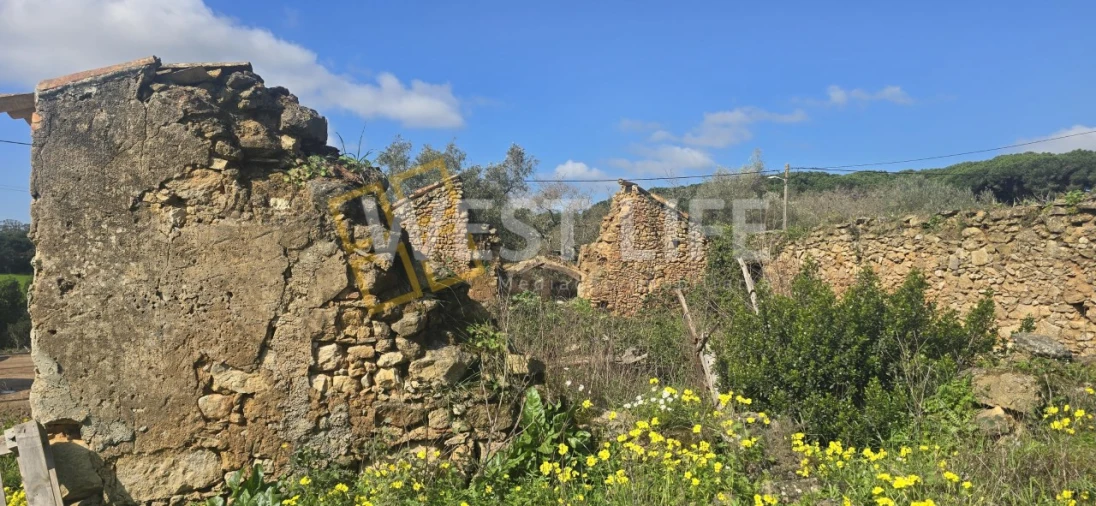 Terreno Agricola ou Rústico para Venda em Azueira e Sobral da Abelheira Foto 5