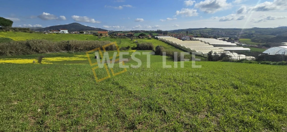Terreno Agricola ou Rústico para Venda em Azueira e Sobral da Abelheira Foto 7