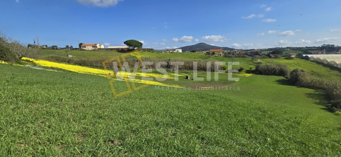 Terreno Agricola ou Rústico para Venda em Azueira e Sobral da Abelheira Foto 8