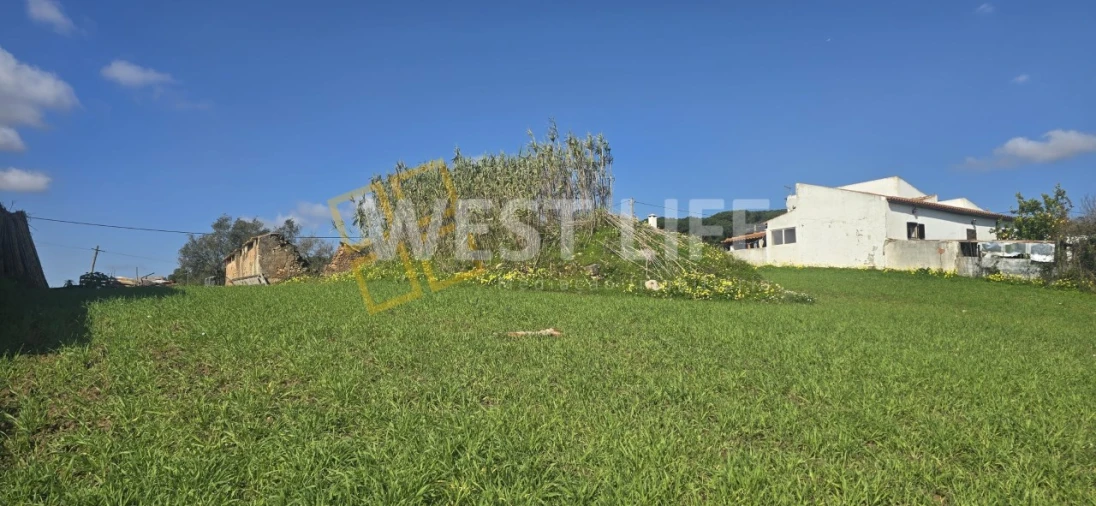 Terreno Agricola ou Rústico para Venda em Azueira e Sobral da Abelheira Foto 11
