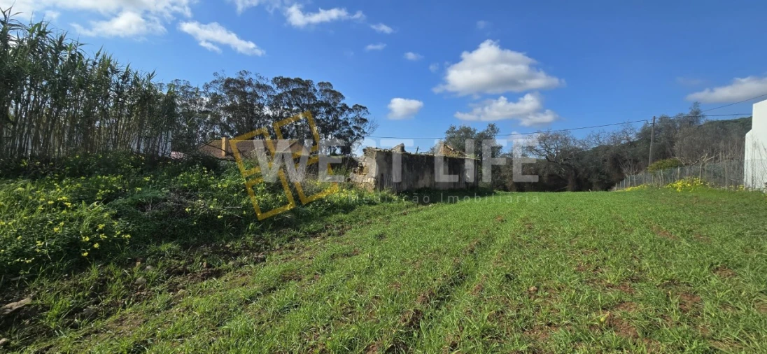 Terreno Agricola ou Rústico para Venda em Azueira e Sobral da Abelheira Foto 12