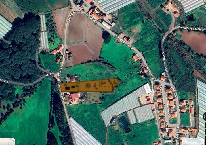 Terreno Agricola ou Rústico para Venda em Azueira e Sobral da Abelheira Planta 1