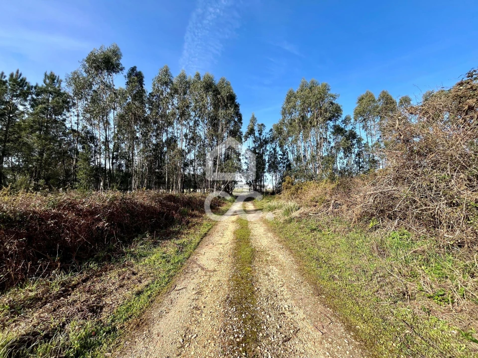 Terreno para Venda em Caldas da Rainha - Santo Onofre e Serra do Bouro Foto 1