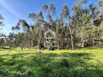 Terreno para Venda em Caldas da Rainha - Santo Onofre e Serra do Bouro